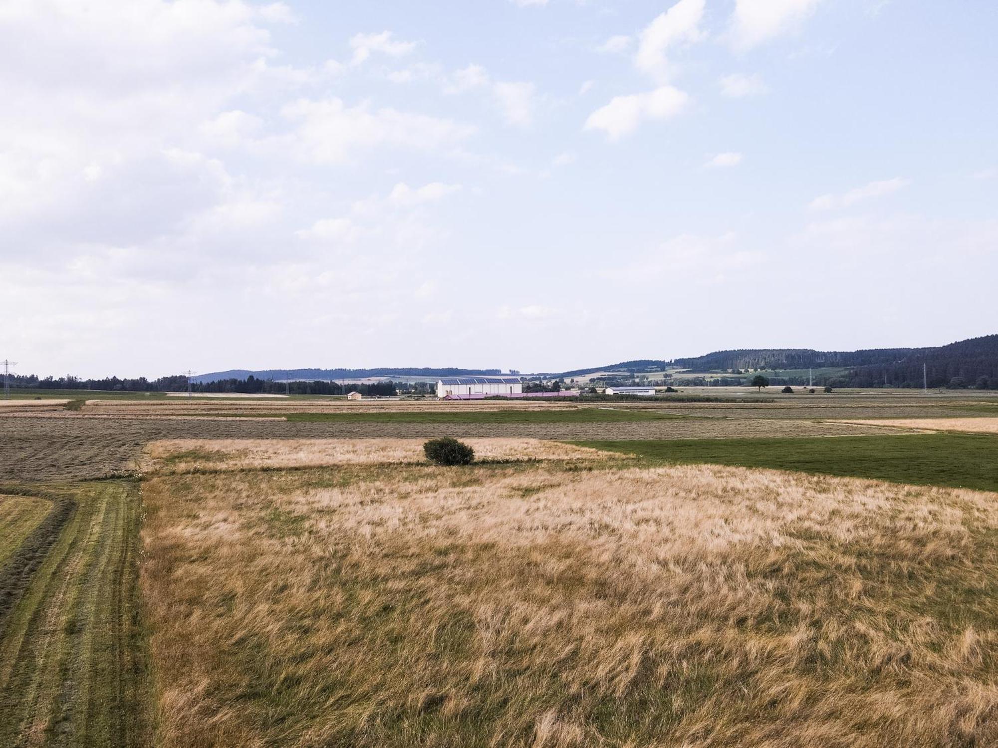 Waldblick Braunlingen